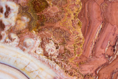 banner 2